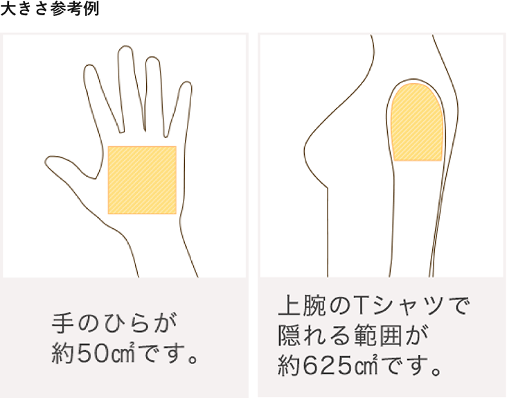 大きさ参考例
