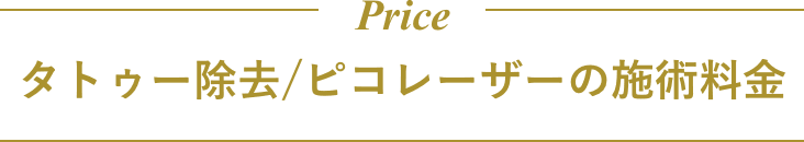 タトゥー除去/ピコレーザーの施術料金