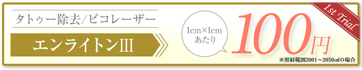 タトゥー除去/ピコレーザー エンラインⅢ 1cm×1cmあたり100円