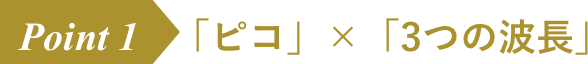 ポイント1